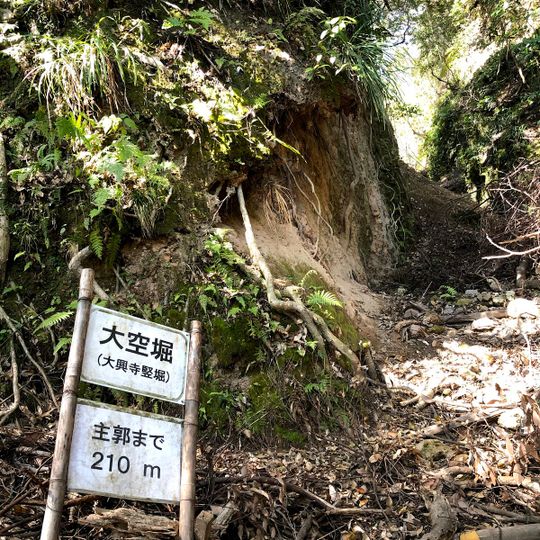 Shimizu Castle