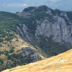 Tomanowy Niedźwiedź