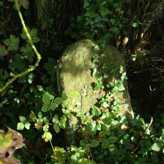 Milestone, Shepherdsgate Road, 25yds NW of The Chase, just left of field gate