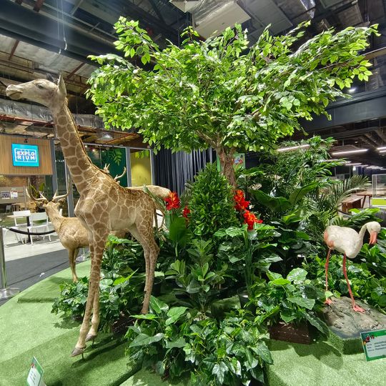 NSM Science Square จัตุรัสวิทยาศาสตร์ อพวช.