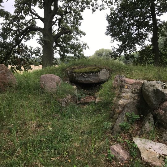 Großsteingrab Pöglitz