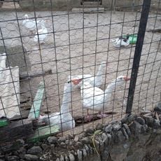 Jos zoological garden
