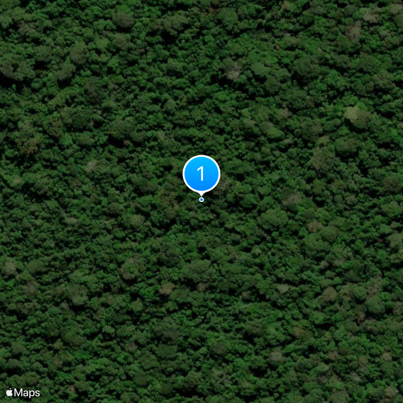 Pando Department Map