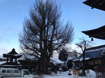 Winter 1