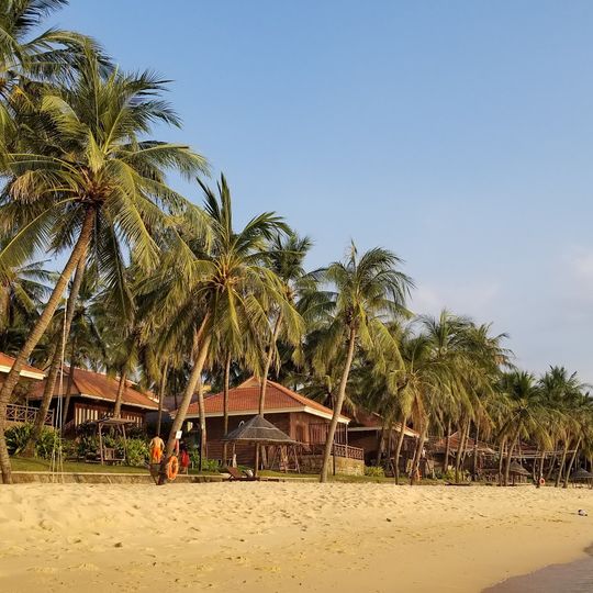 Bãi Trường