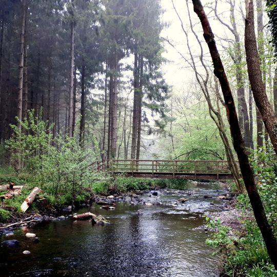 NSG Vichtbachtal mit Groelis-, Schlee- und Lensbach