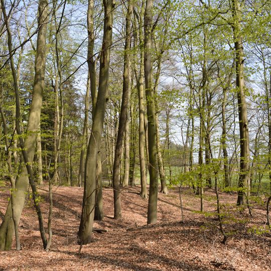 Burganlage bei der Pulvermühle