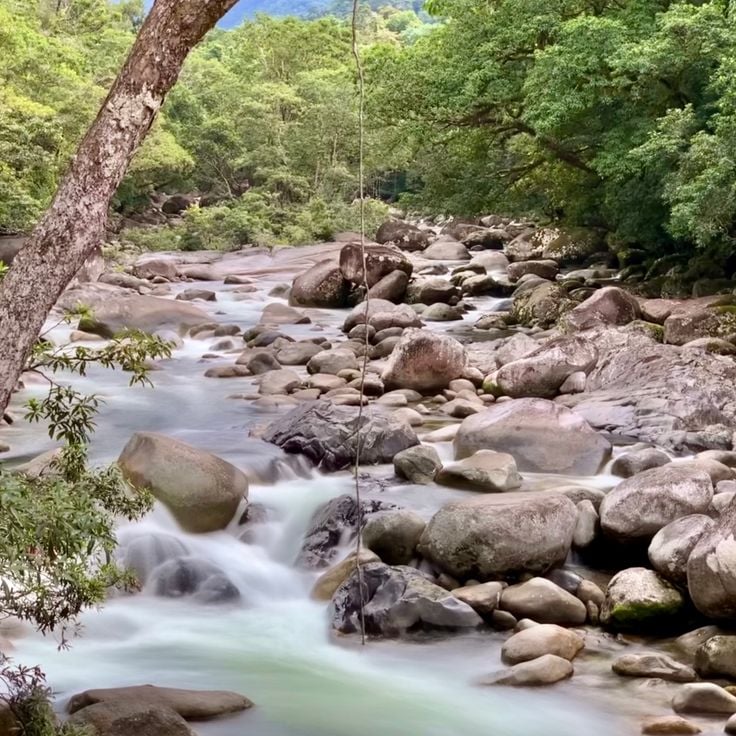 Mossman Gorge