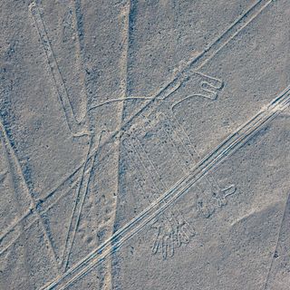 Nazca Dog geoglyph