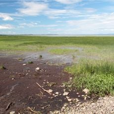 Cap-Saint-Ignace Migratory Bird Sanctuary