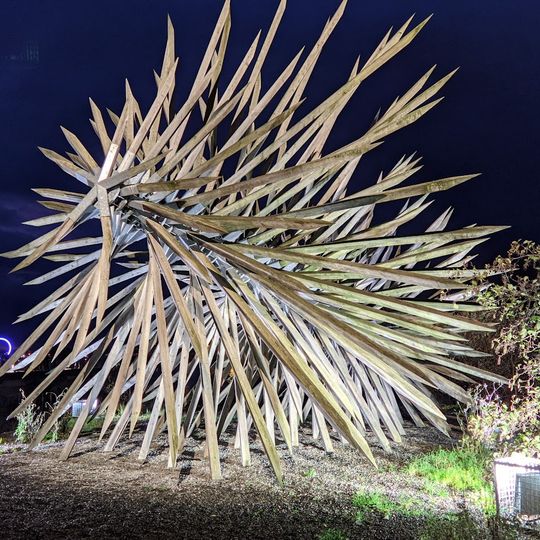 Résolution des forces en présence