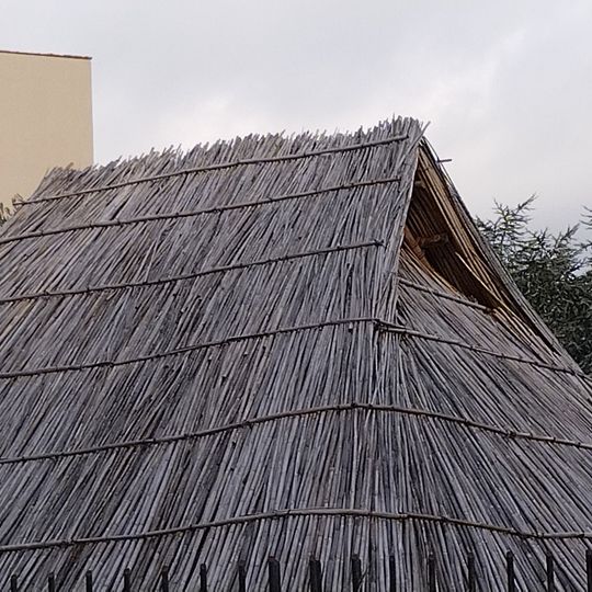 Casa Protostorica di Fidenæ