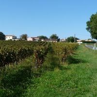 Saint-Ciers-de-Canesse