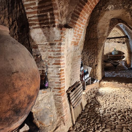 Museo de las Cuevas del Castillejo