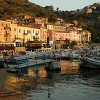 Giglio