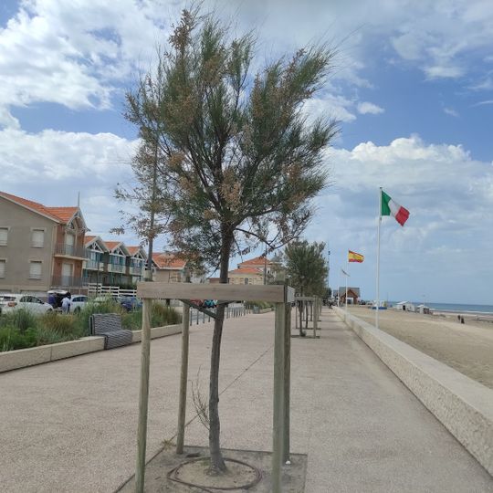 Camping Le Royannais