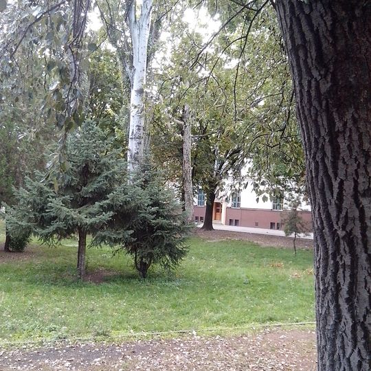 Maďarská škola G. Czuczora, park
