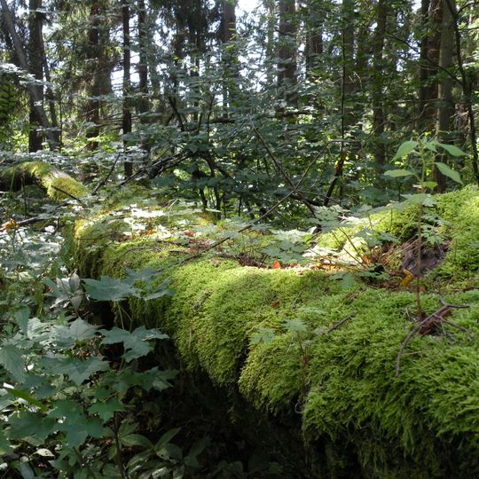 Nature reserve Las Warmiński