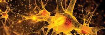 ScienceAlert Profile Cover