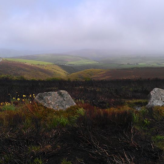 The Whit Stones: two standing stones 230m west of Whitstone Post