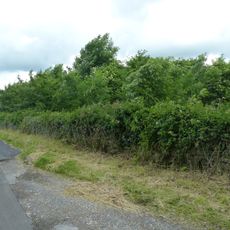 Boars Low bowl barrow