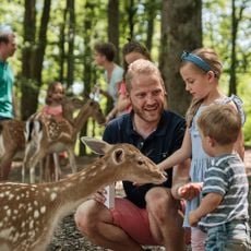 Wildparadies Tripsdrill