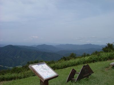 The view 0