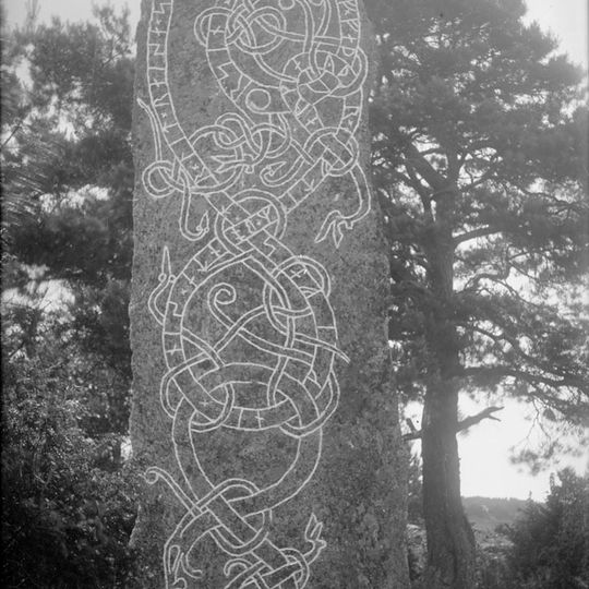 Uppland Runic Inscription 460