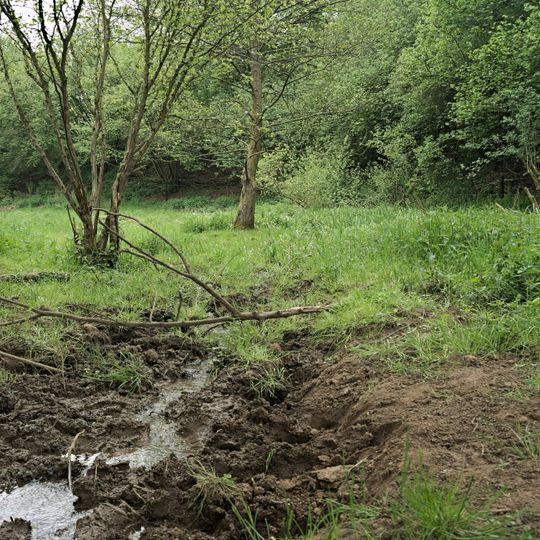Westerwaelder Seenplatte