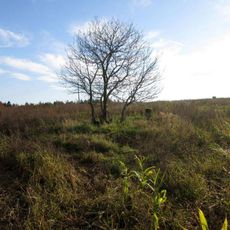 Kříž jihovýchodně od Obory v poli