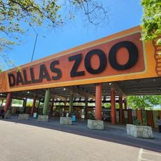 Dallas Zoo