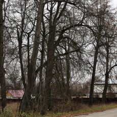 Ансамбль усадьбы Акинфовых (Крузенштерна) (Вишнёвый)