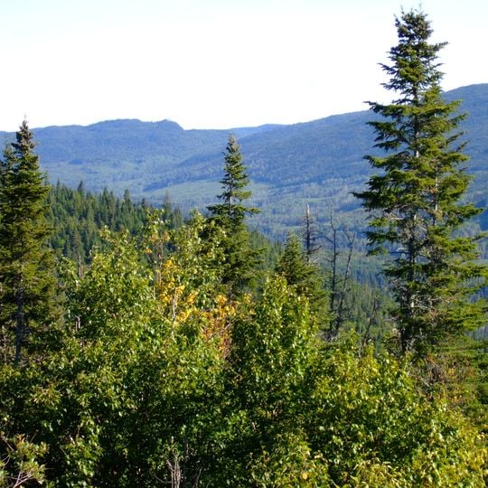 Laurentides Wildlife Reserve