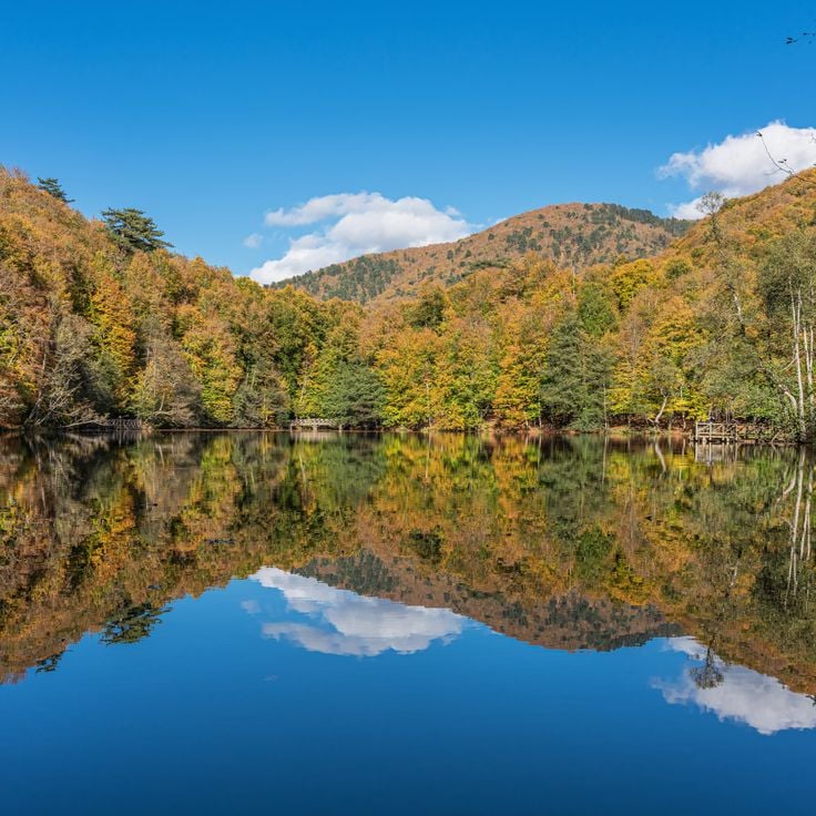 Yedigöller National Park