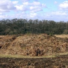 Bowl barrow 250m north of Hacking Boat House