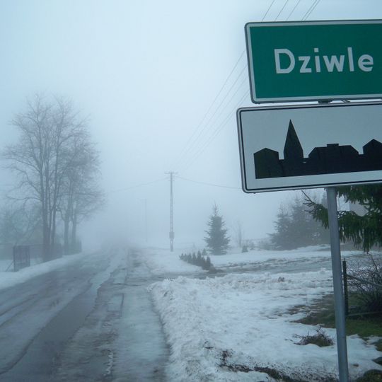 Dziwle