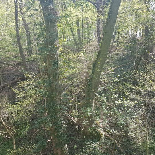 Groeve van de Scheve Spar I