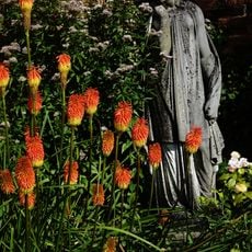 Boundary Walls To Orangery Garden And Cedar Garden Including Three Sets Of Gatepiers