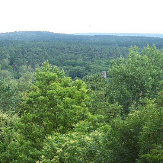 Grunewald