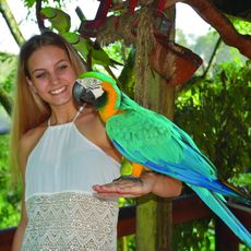 Birdworld Kuranda