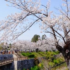 Yatomi-dori Footbridge