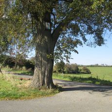 Obrázek u rozcestí nad Květuší