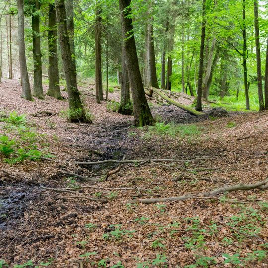 NSG Quellgebiet der Dorla