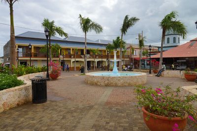 Panoramic View 0