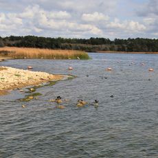 Lake Bastrop