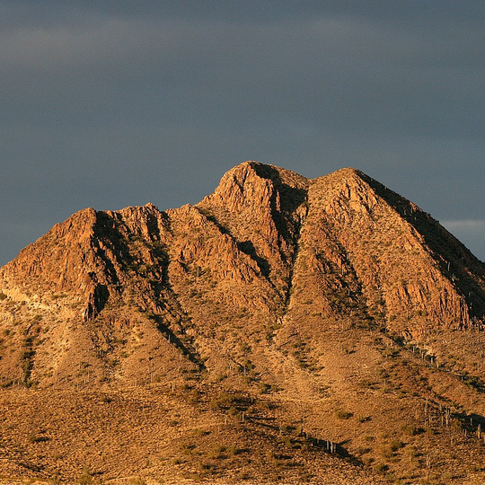 Gavilan Peak