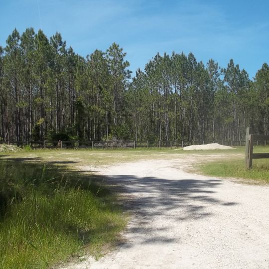 Matanzas State Forest