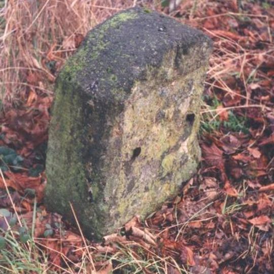Milestone, The Mythe; opp. N edge of Garden Centre & footpath