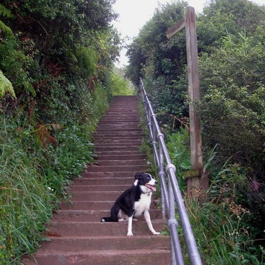 Berwickshire Coastal Path