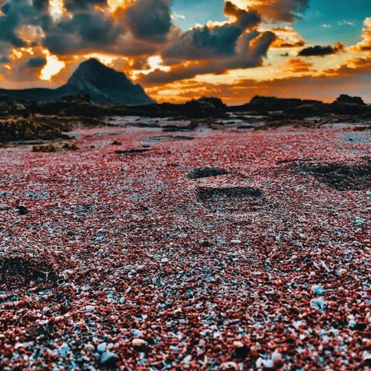 Riserva naturale orientata Monte Cofano